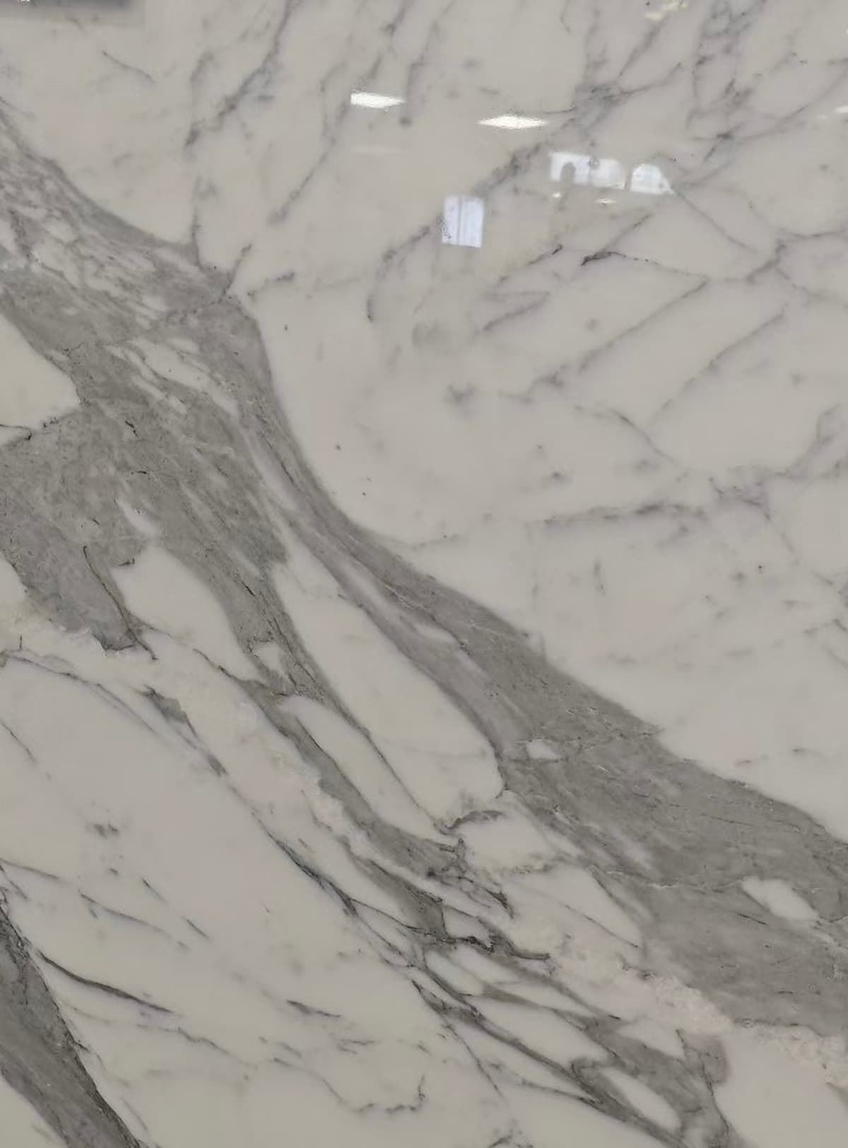 Bianca Calacatta Marble